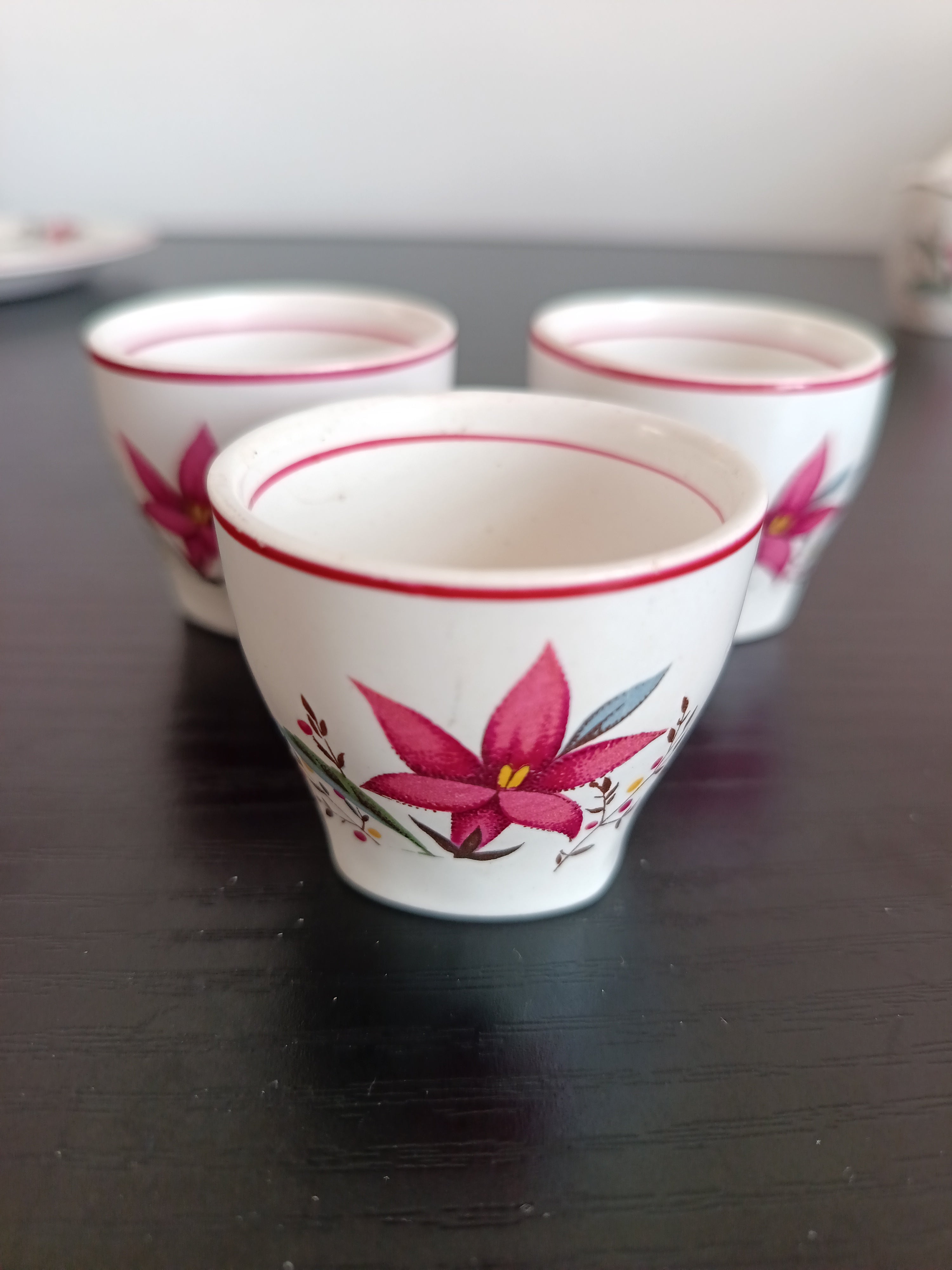 Vintage Midwinter Stylecraft "Rose Marie" breakfast/cruet set 1954 - 46