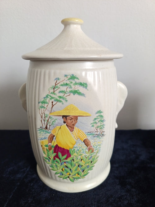 A Pair Vintage Sylvac Ware Tea Caddies