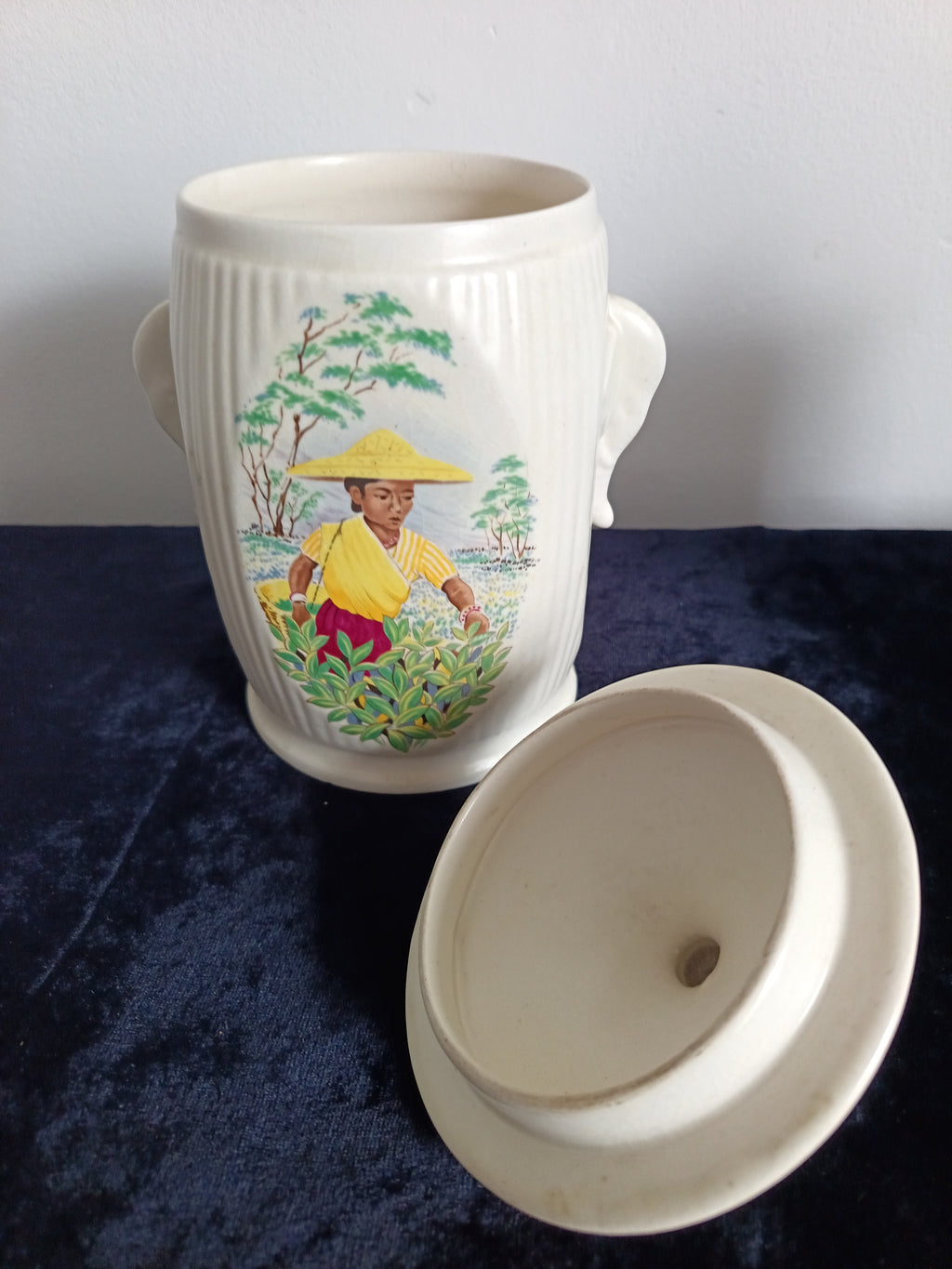 A Pair Vintage Sylvac Ware Tea Caddies